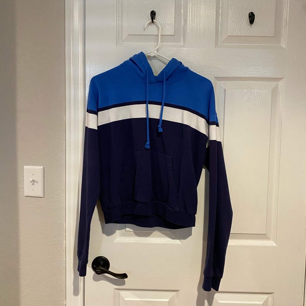 PacSun Cropped Hoodie